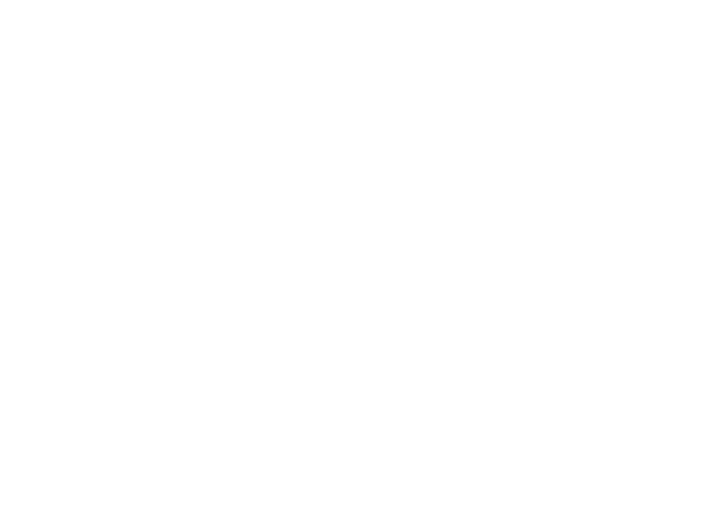 Logo Vesvial